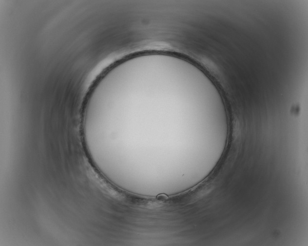 X0000112481326200909071148