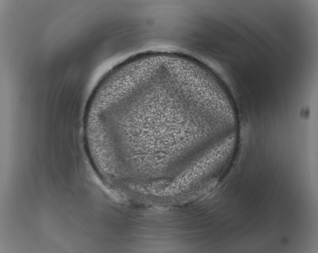 X0000112481327200909071148