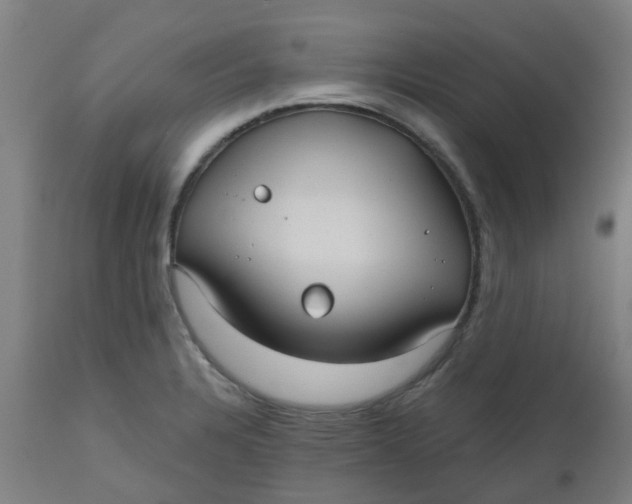 X0000112481328200909071148