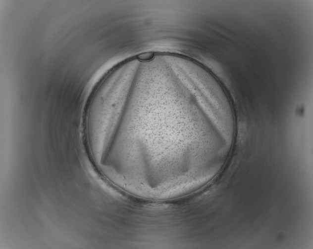 X0000112481331200909071148