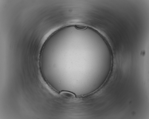 X0000112481333200909071148