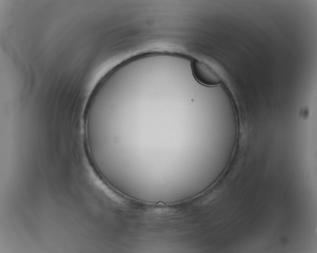 X0000112481335200909071148