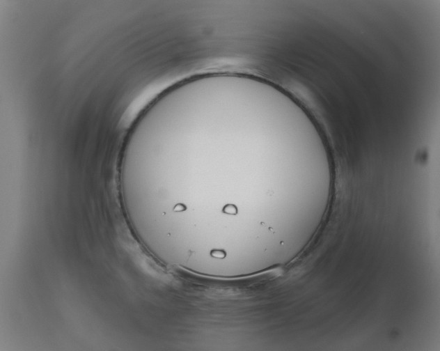 X0000112481336200909071148