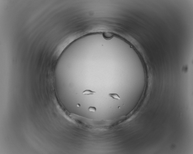 X0000112481337200909071148