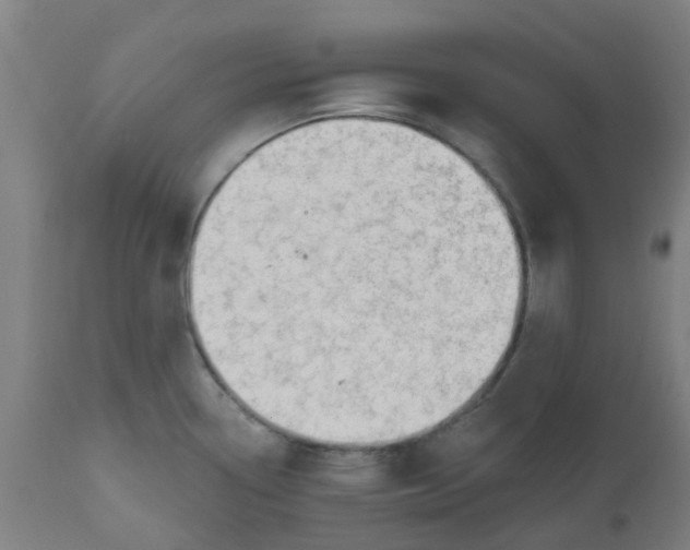 X0000112481338200909071148