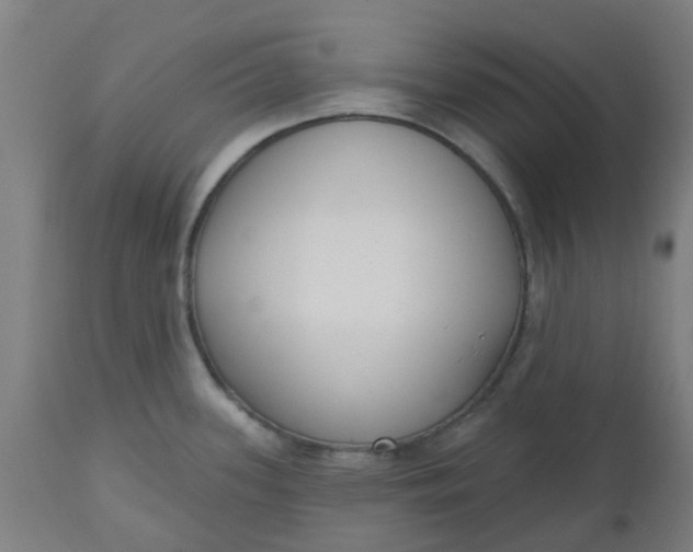 X0000112481339200909071148