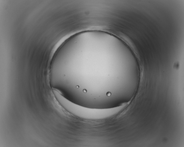 X0000112481340200909071148