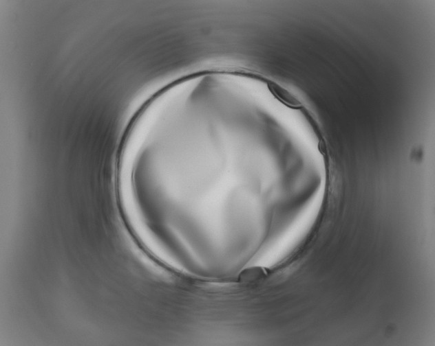 X0000112481343200909071148