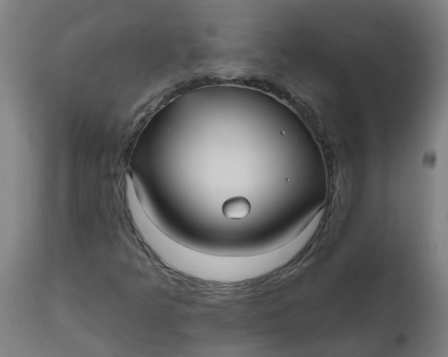 X0000112481349200909071147