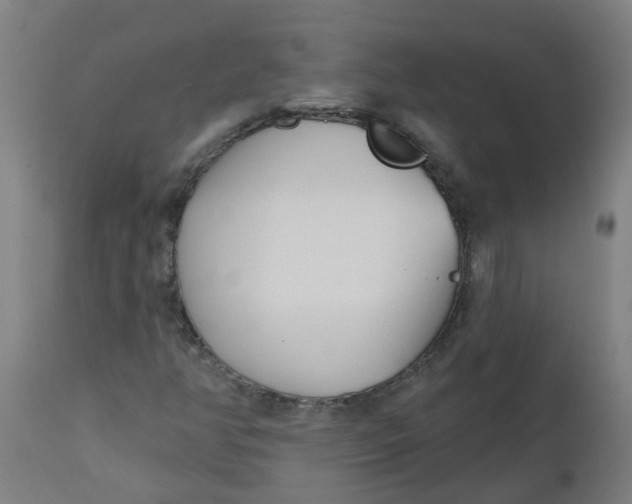 X0000112481350200909071147