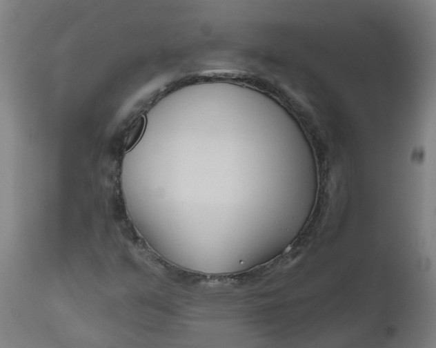 X0000112481351200909071147