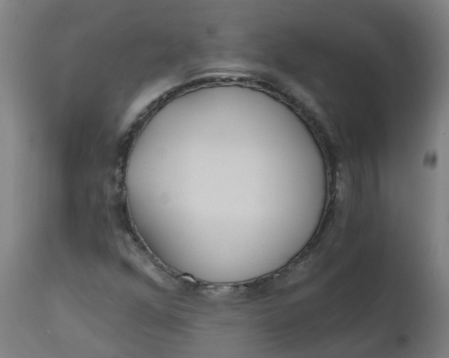 X0000112481352200909071147