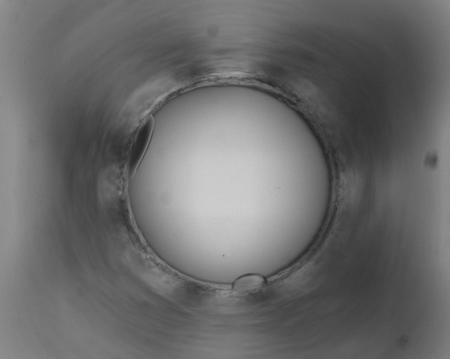 X0000112481353200909071147