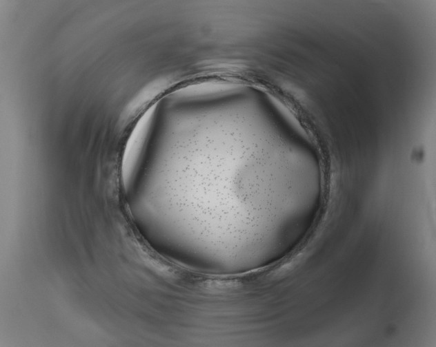 X0000112481354200909071147