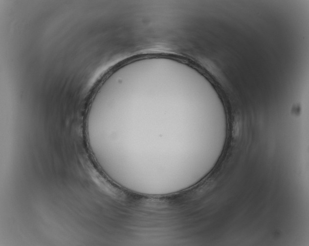 X0000112481356200909071147