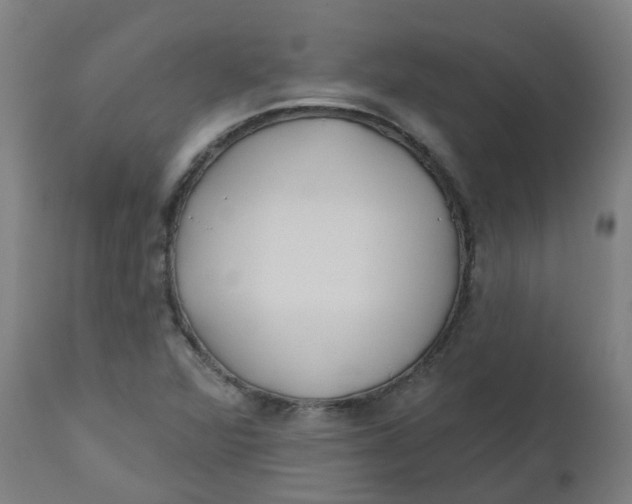 X0000112481360200909071147