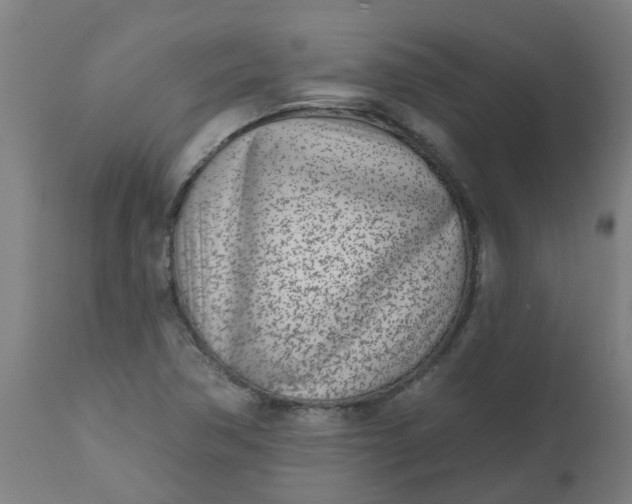 X0000112481362200909071147