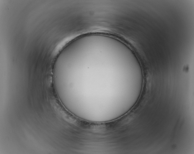 X0000112481363200909071147