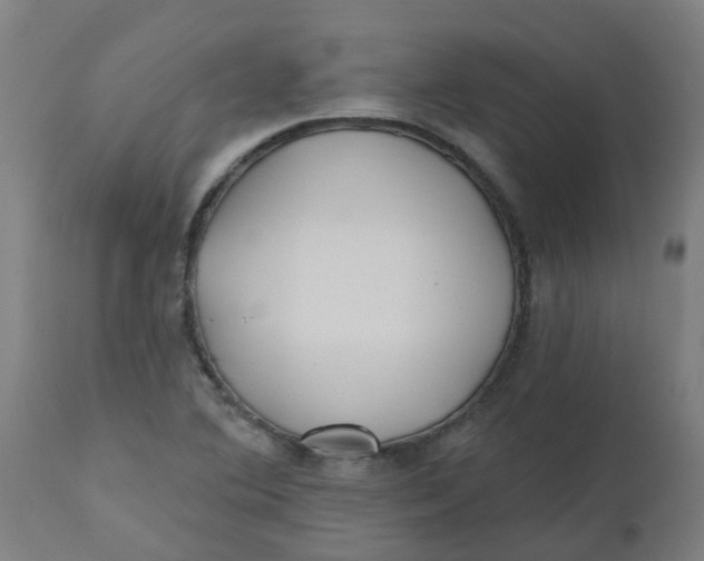 X0000112481364200909071147