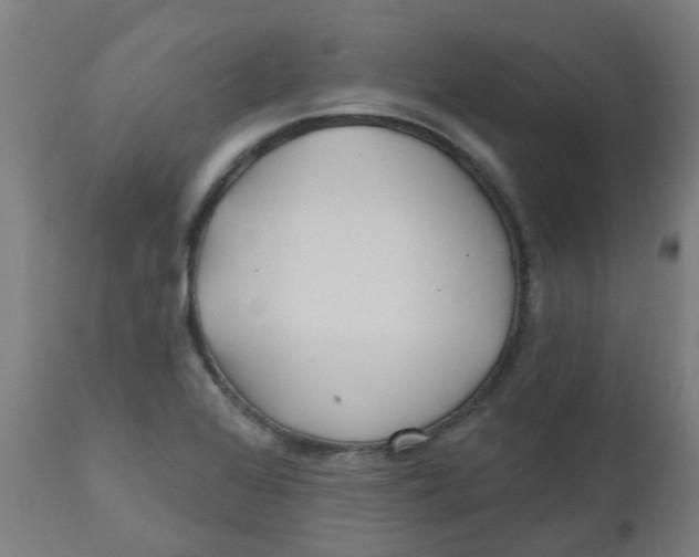 X0000112481368200909071147