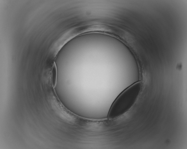 X0000112481369200909071147