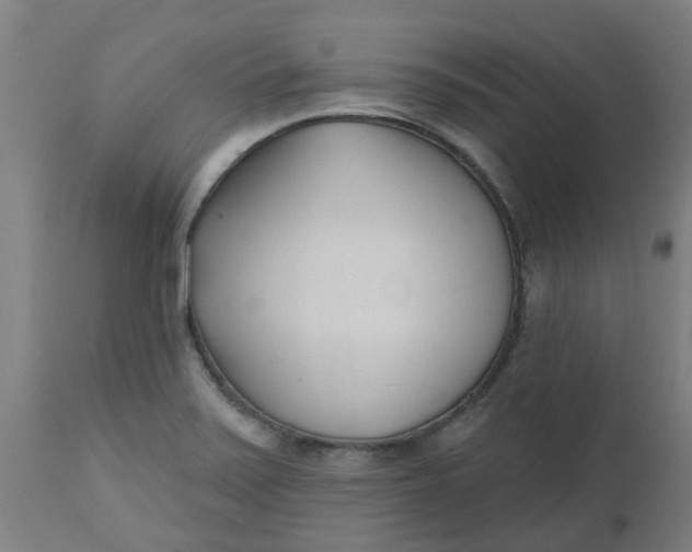 X0000112481371200909071147