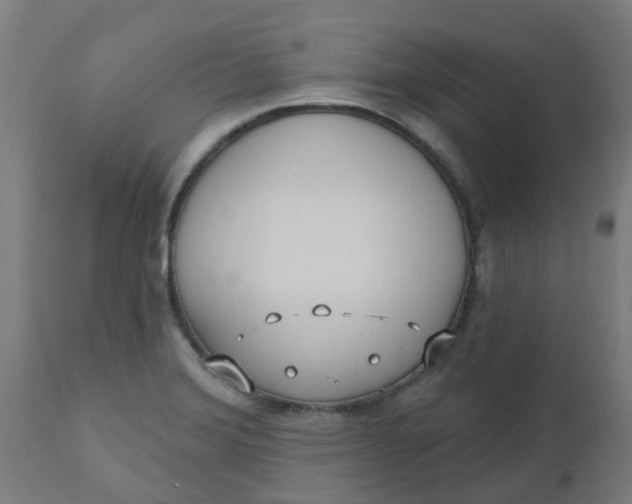 X0000112481372200909071147