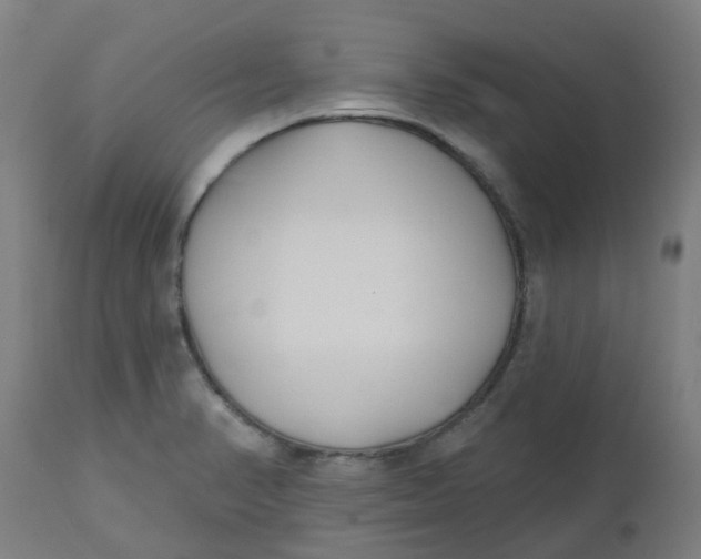 X0000112481374200909071147