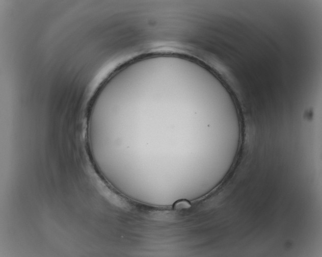 X0000112481376200909071147