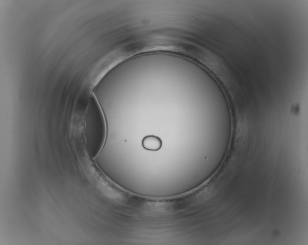 X0000112481377200909071147