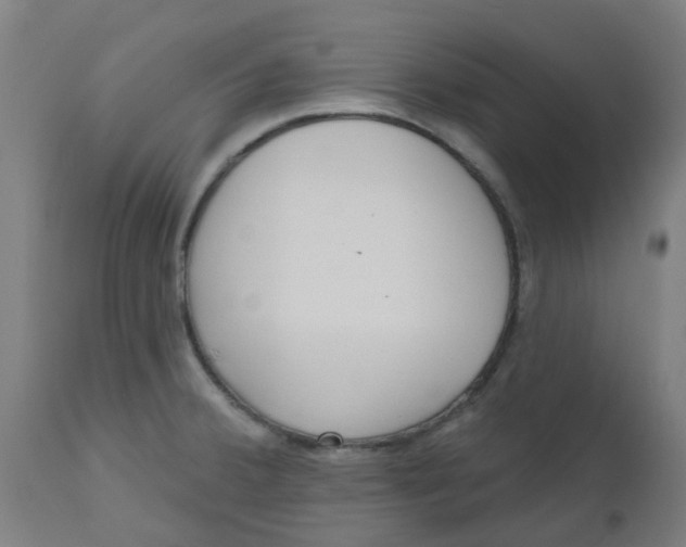 X0000112481380200909071147