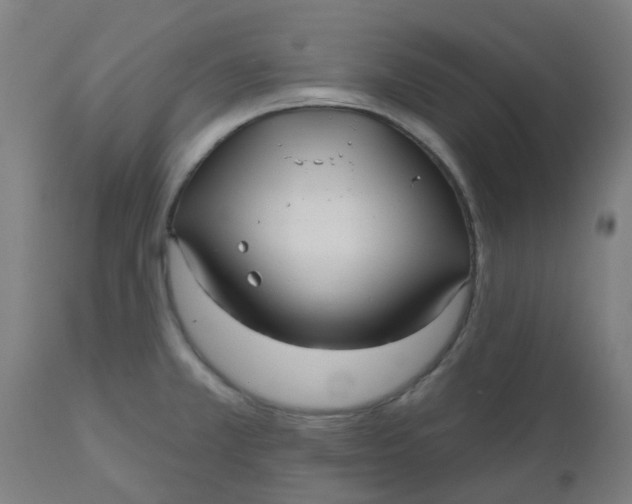 X0000112481381200909071147