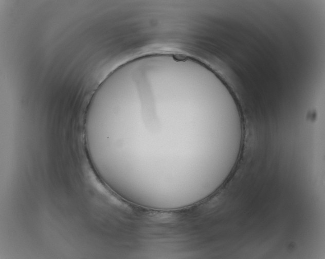 X0000112481382200909071147