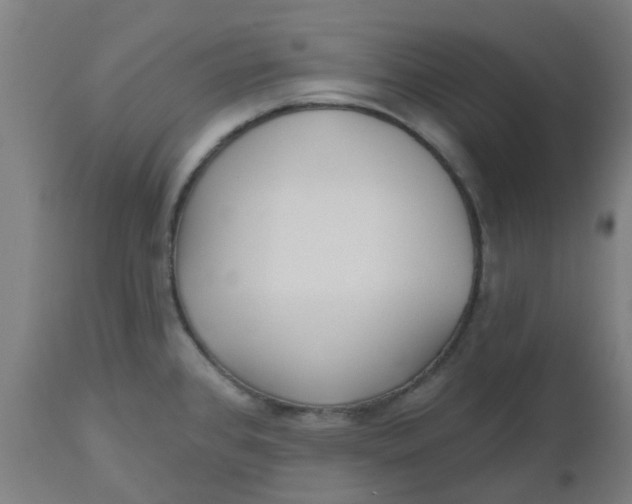 X0000112481384200909071147