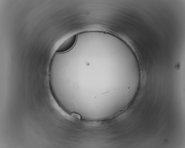 X0000112481387200909071147