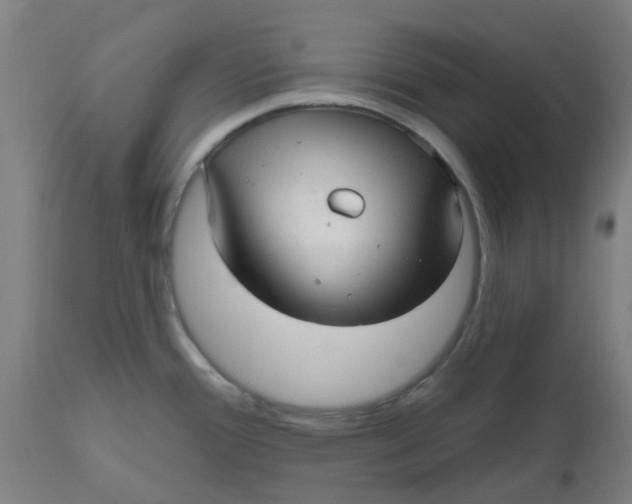 X0000112481388200909071147