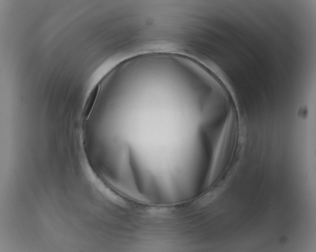 X0000112481389200909071147