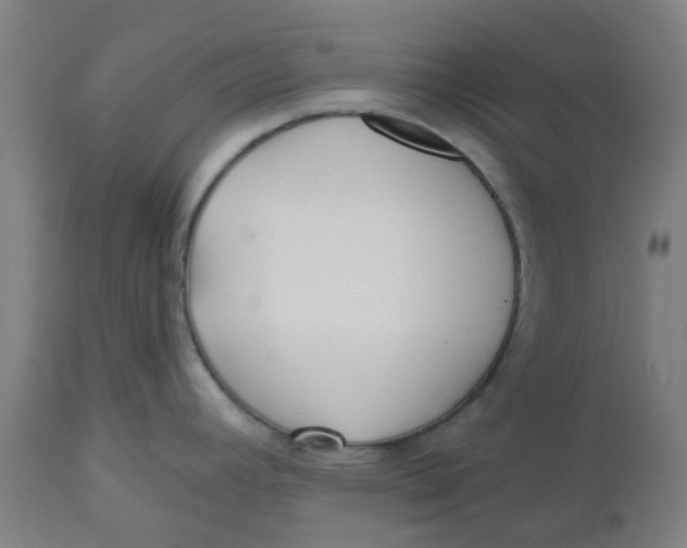 X0000112481392200909071147