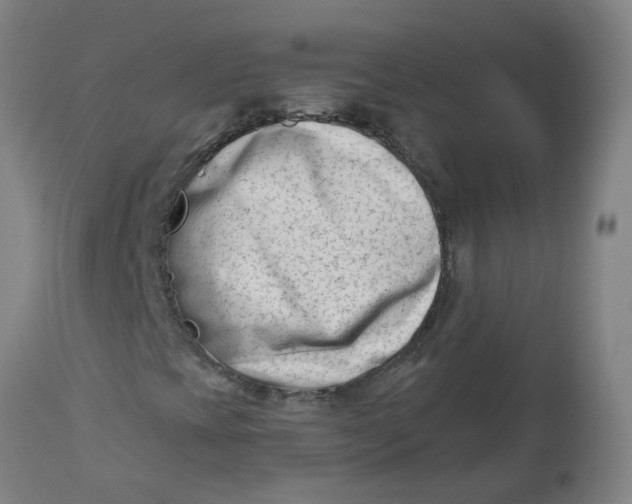 X0000112481393200909071146