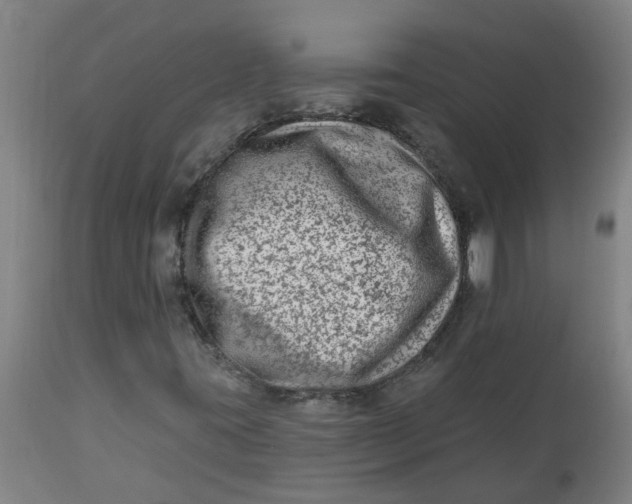 X0000112481395200909071146