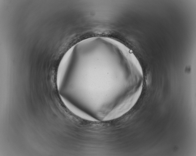 X0000112481396200909071146