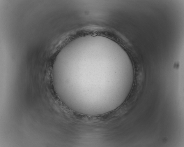 X0000112481397200909071146