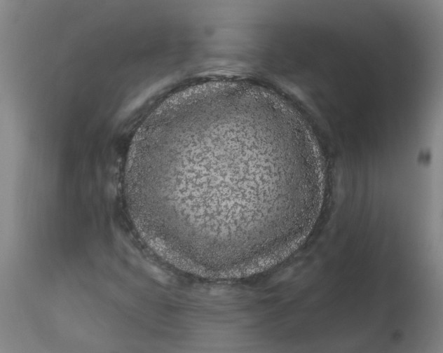 X0000112481399200909071146