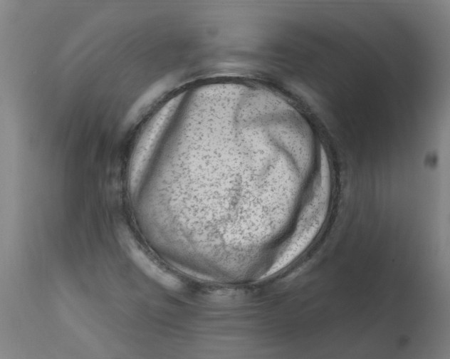 X0000112481403200909071146