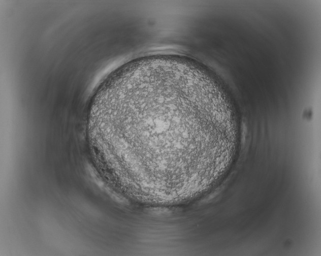 X0000112481405200909071146