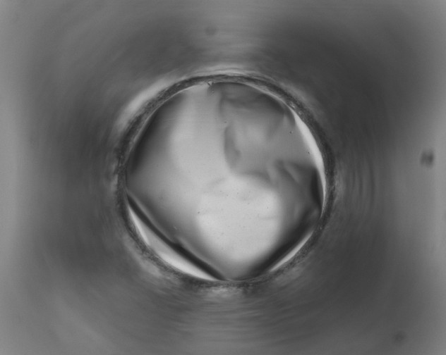 X0000112481406200909071146