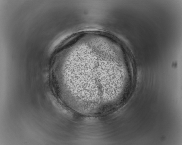 X0000112481407200909071146