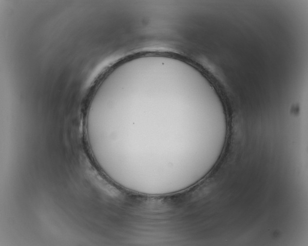 X0000112481408200909071146