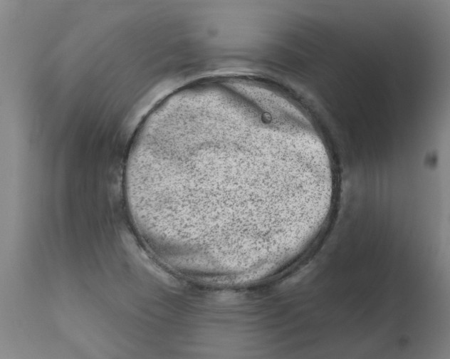 X0000112481409200909071146