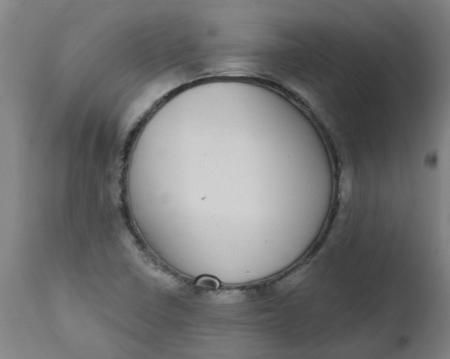 X0000112481410200909071146